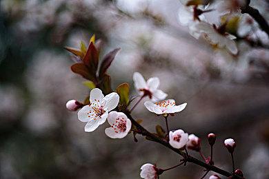 《绝境急袭：挑战重重》首个更新发布 将登陆次世代主机